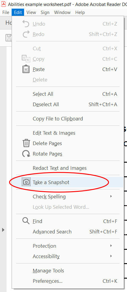 from the edit menu, choose 'take a snapshot'.